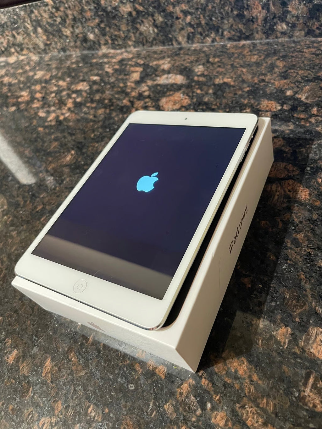 Apple iPad Mini 4th Generation 64 GB in Space Gray 8Q52