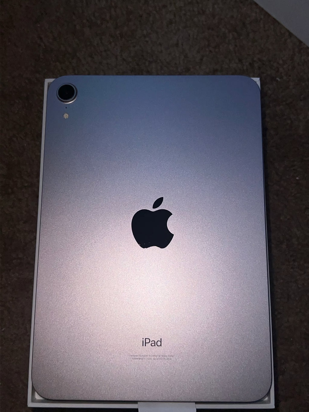 Apple iPad Mini 6th Generation 64 GB in Pink 8T73