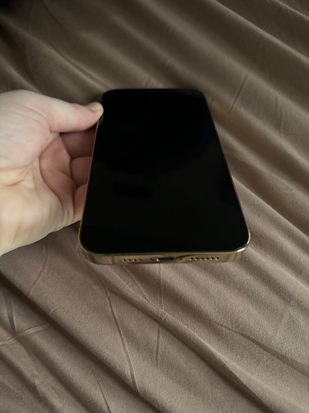 iPhone 12 Pro Max Unlocked 1B51