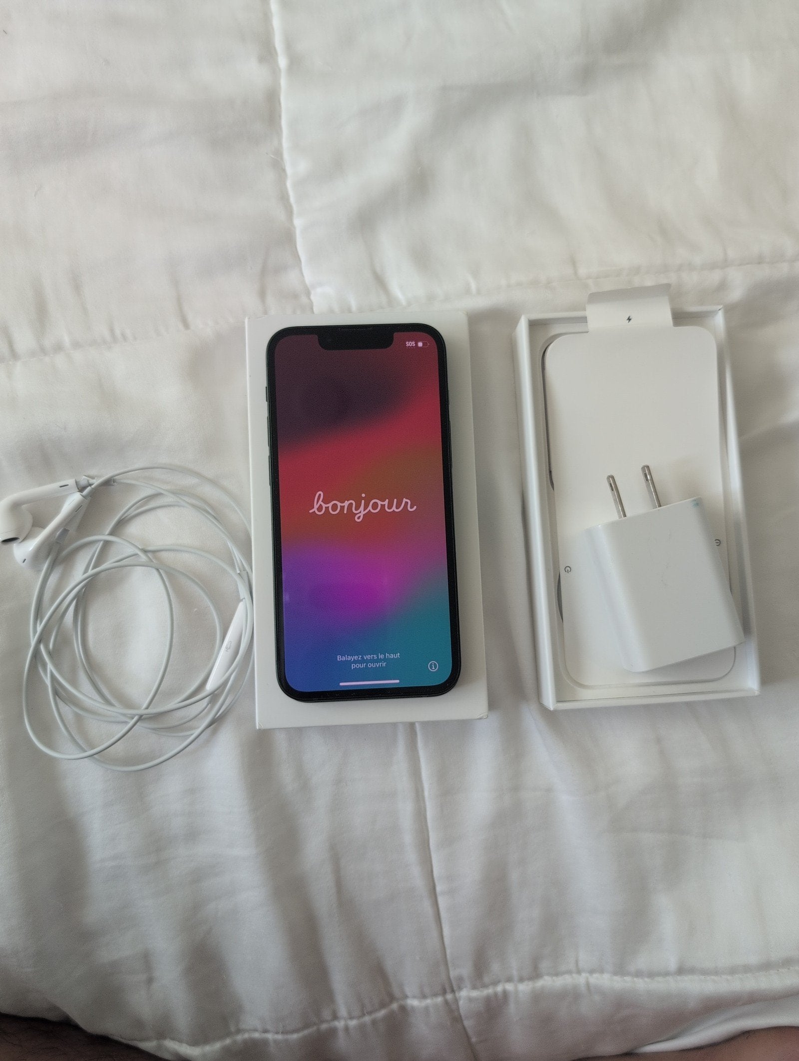 iPhone 13 Mini 256GB in Green - Unlocked! with Accessories! 1J59