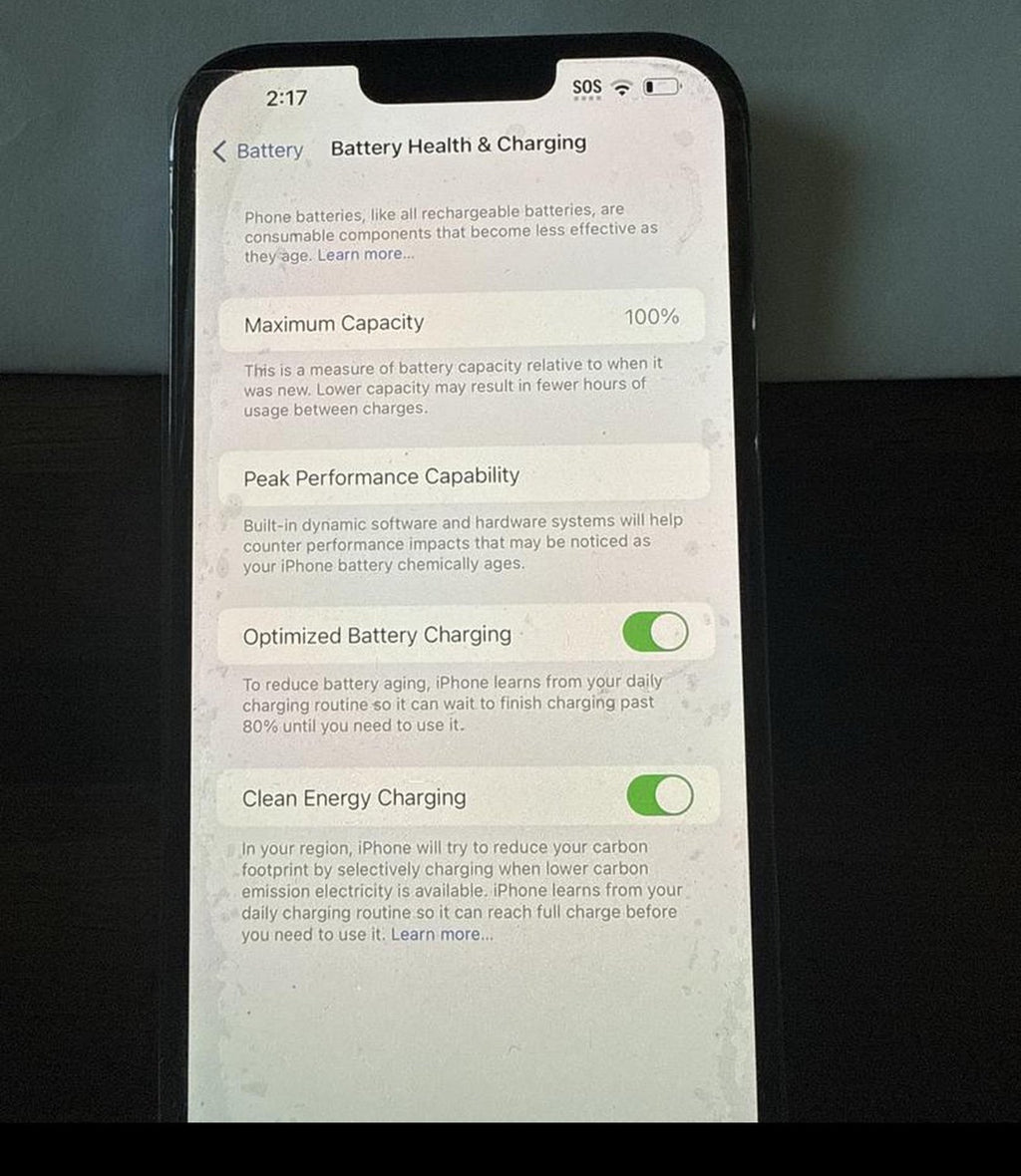 iphone 13 pro max 5Q73