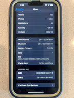 iphone13 pro max phone unlocked 5R96