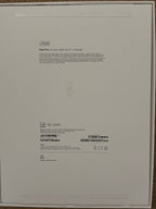 Apple iPad Pro 13 m4 256 space gray  cellular can’t but used on cellular 8T25