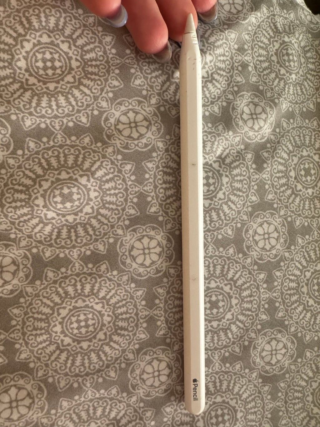 Apple iPad Pro 3rd Generation 256 GB in Silver and Apple Pencil 7A77