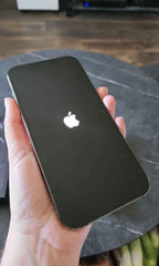 iPhone 12 Pro Max 7C97