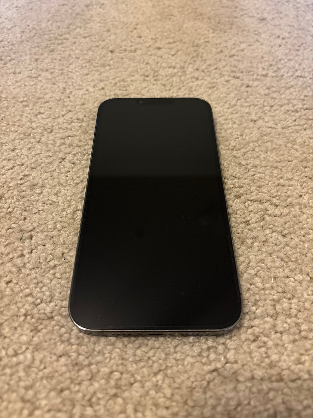 iPhone 13 Pro Max 6L95