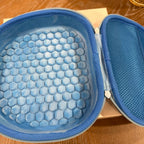 Apple AirPod Max Sky Blue and Case Bundle 2W67