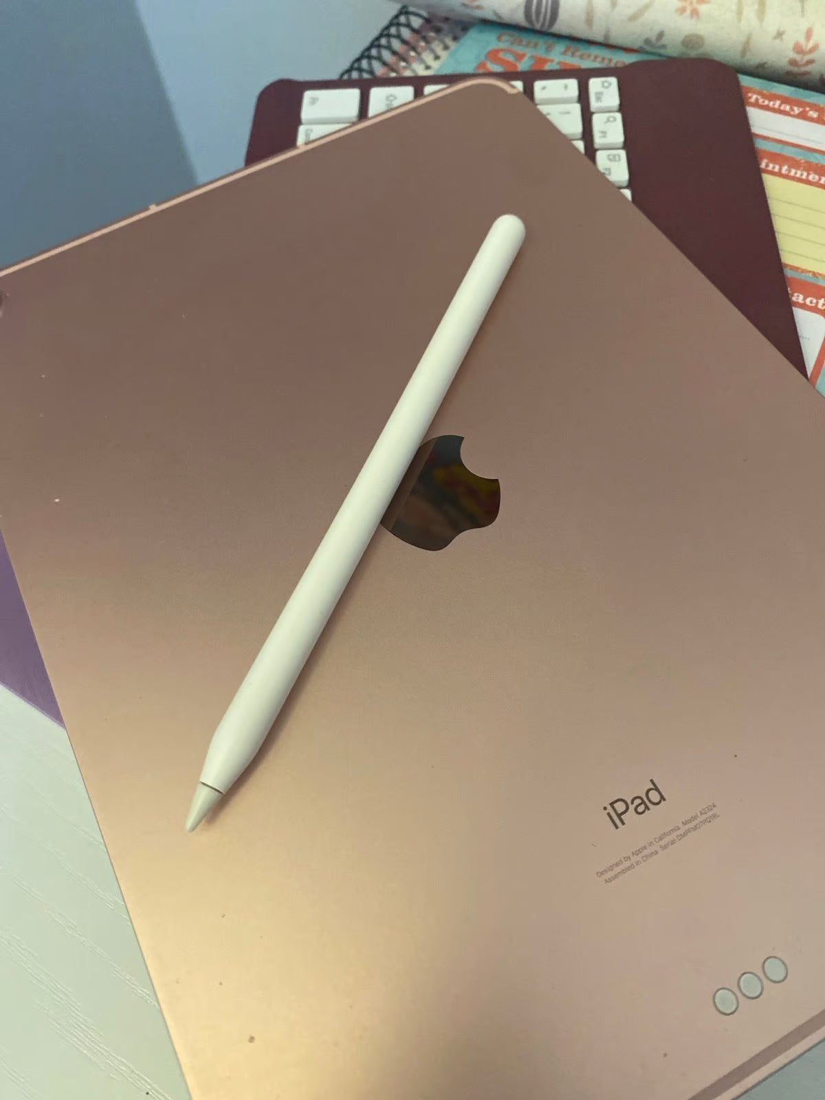 iPad Air 4th Generation 11 inches rose gold 256 GB 2W59