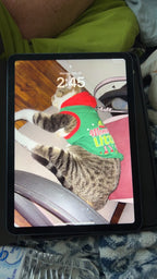 Apple iPad Air 5th Generation 64 GB in Sky Blue 8F15