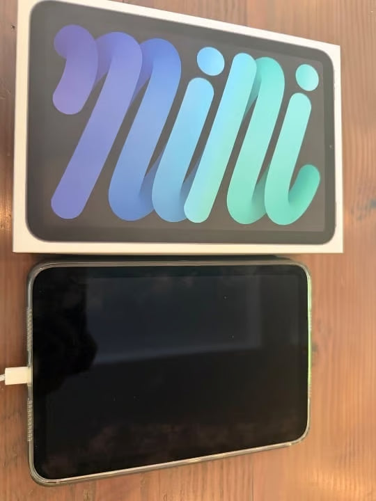 iPad mini Wi-Fi + Cellular 256GB - Space Gray 7U85