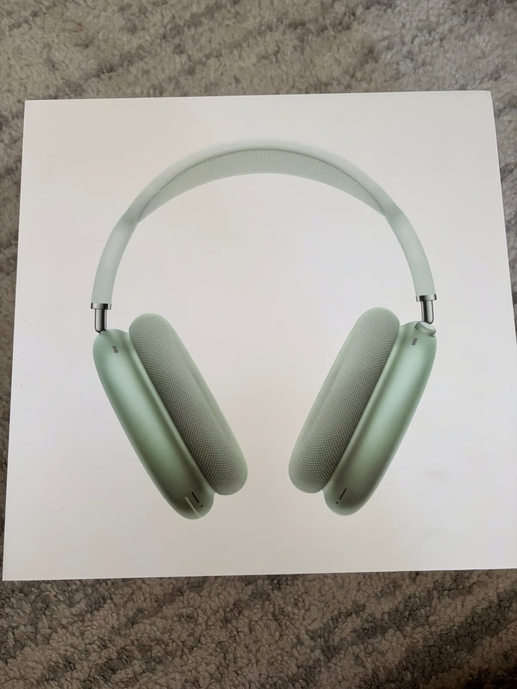 Apple AirPod max 9N69