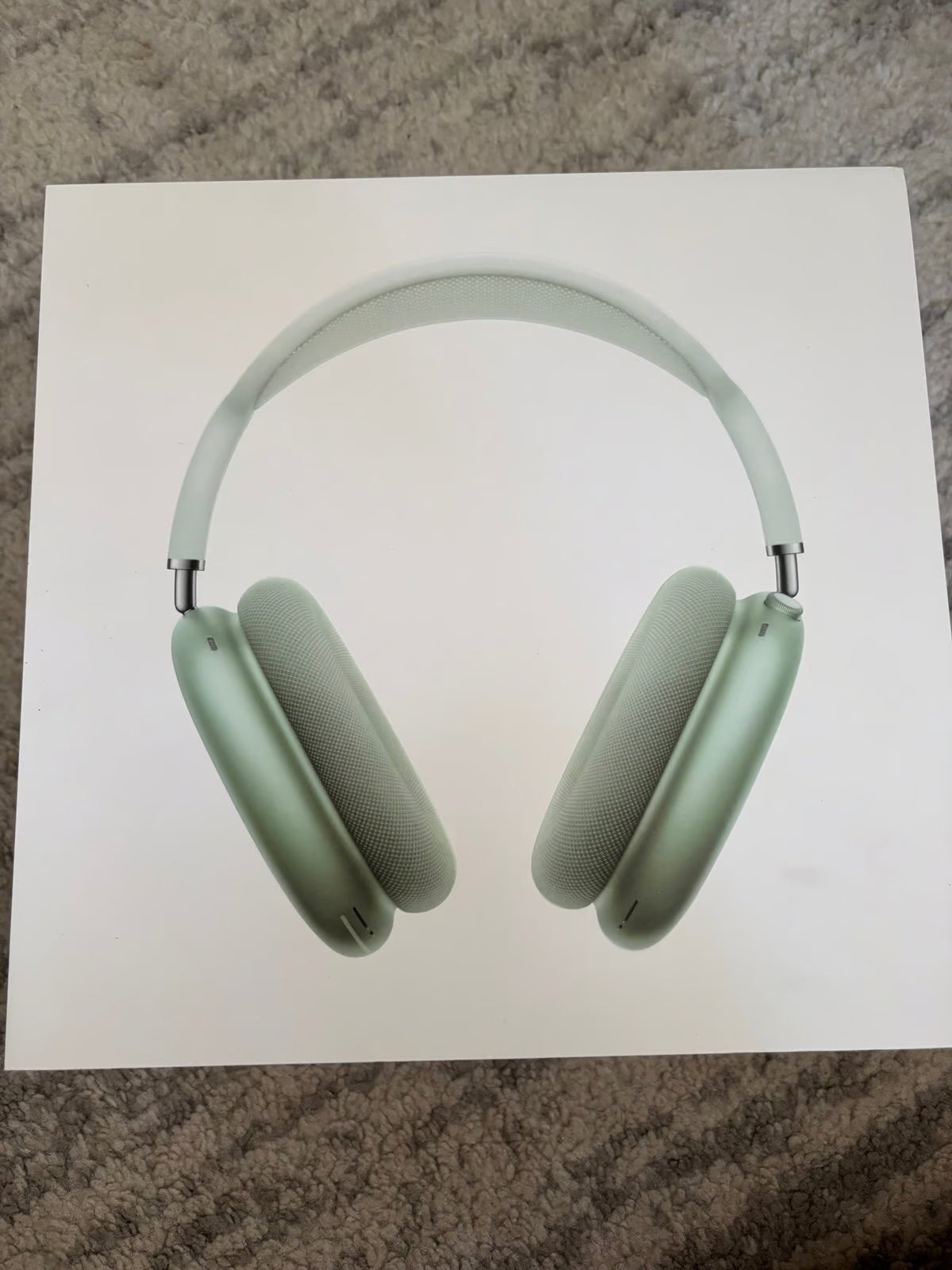 Apple AirPod max 9N69