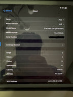 Apple iPad Mini 5th Generation 256 GB 2C68