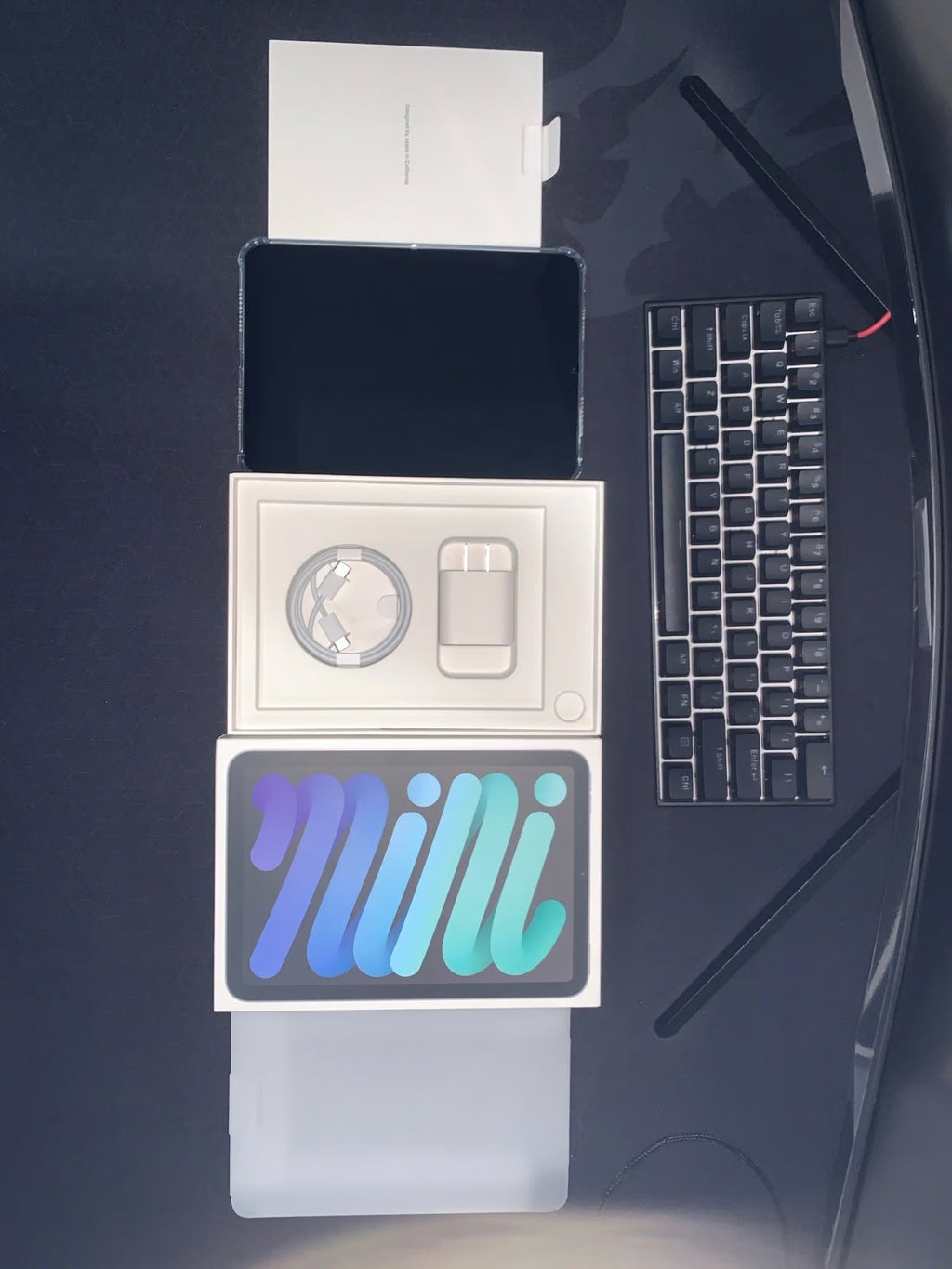 iPad Mini 256GB w/ AppleCare+ 3J92