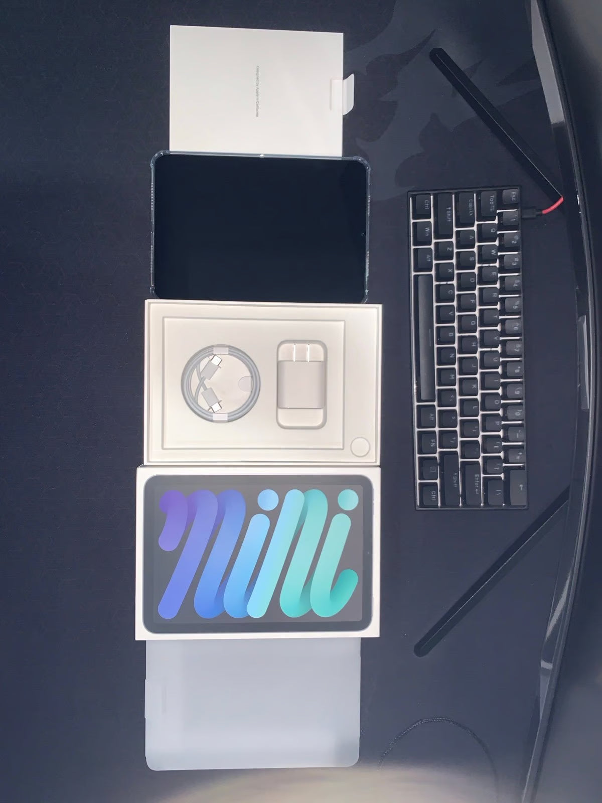 iPad Mini 256GB w/ AppleCare+ 3J92