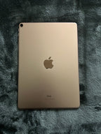 iPad Pro with Apple Pencil 8G75