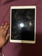 ipad mini 1C55