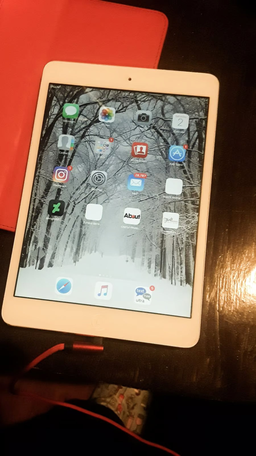 iPad Mini 8N27
