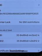 Unlocked iPhone 12 Pro Max 256 GB in Pacific Blue 6R51