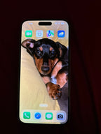 iPhone 14 Pro max unlocked 7C25