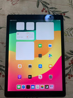 Apple iPad Pro 12.9�?2nd generation 64GB unlocked like new! 3M69