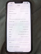 Apple iPhone 13 Pro Max 128 GB in Gold for Unlocked 6Z56