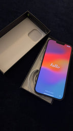 IPHONE 13 PRO MAX 鈥?256 GB (GRAPHITE) 5Q11