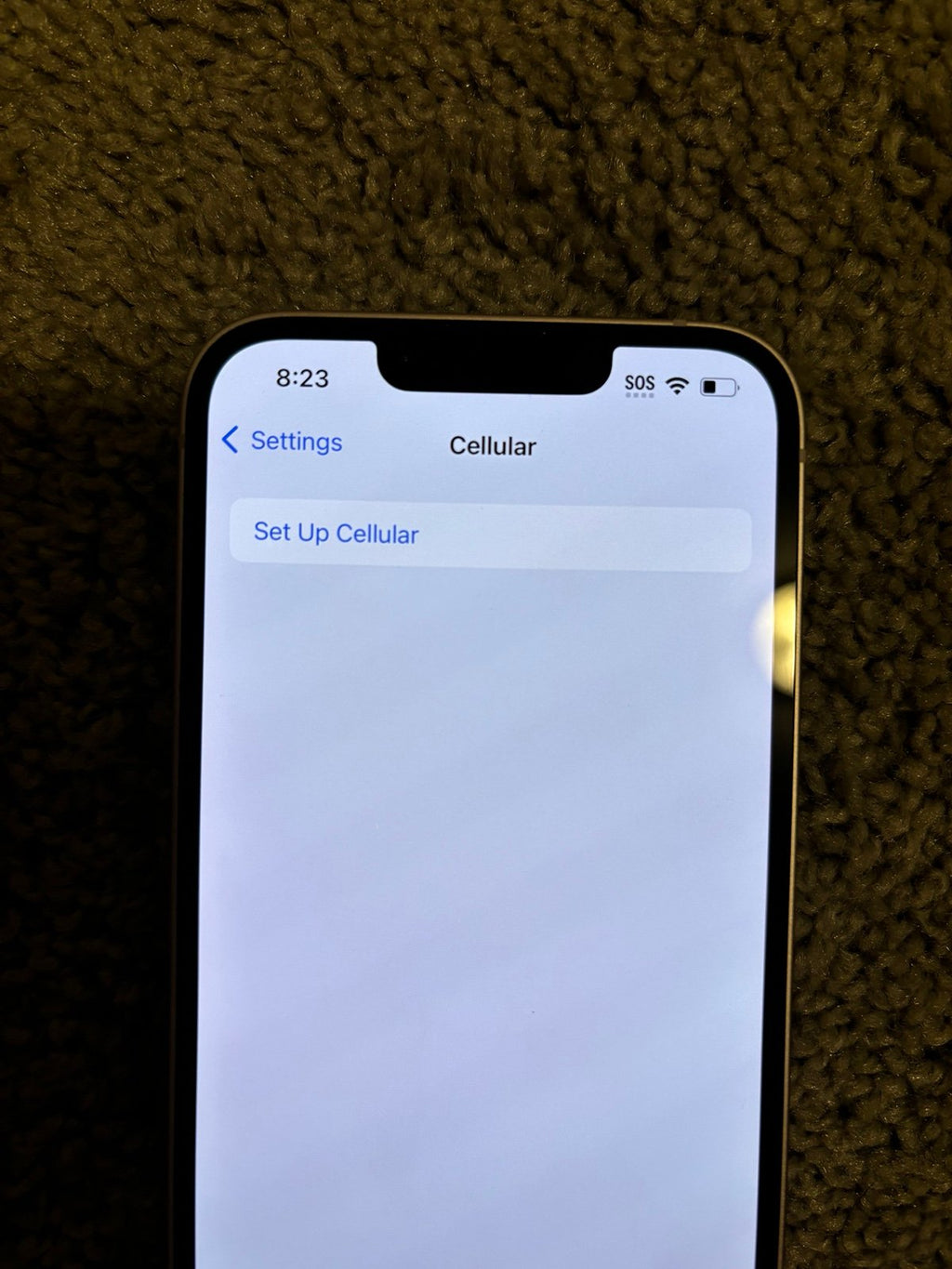 iPhone 13 unlocked 9N98