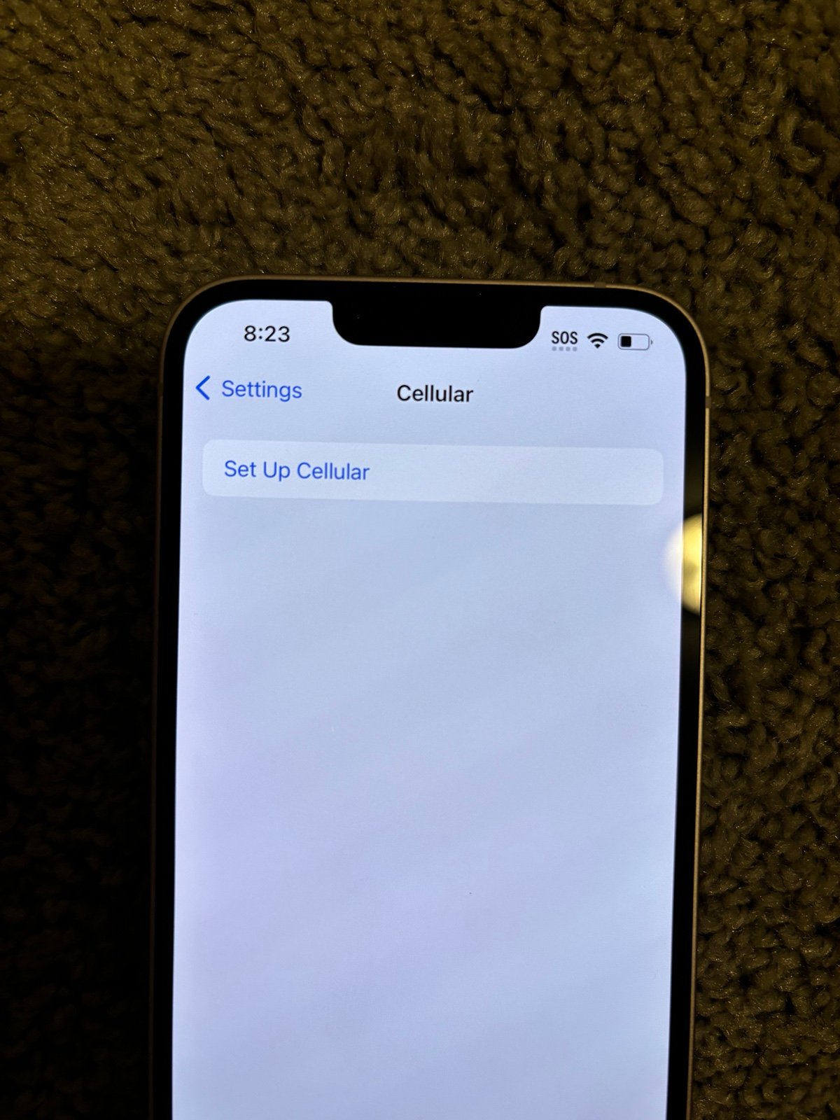 iPhone 13 unlocked 9N98