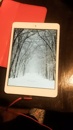 iPad Mini 8N27