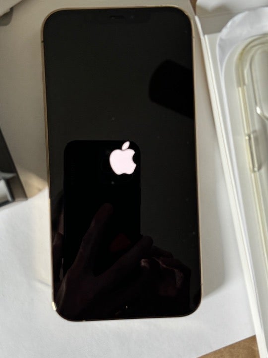 Apple iPhone 12 Pro Max bundle 2X15