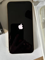 Apple iPhone 12 Pro Max bundle 2X15