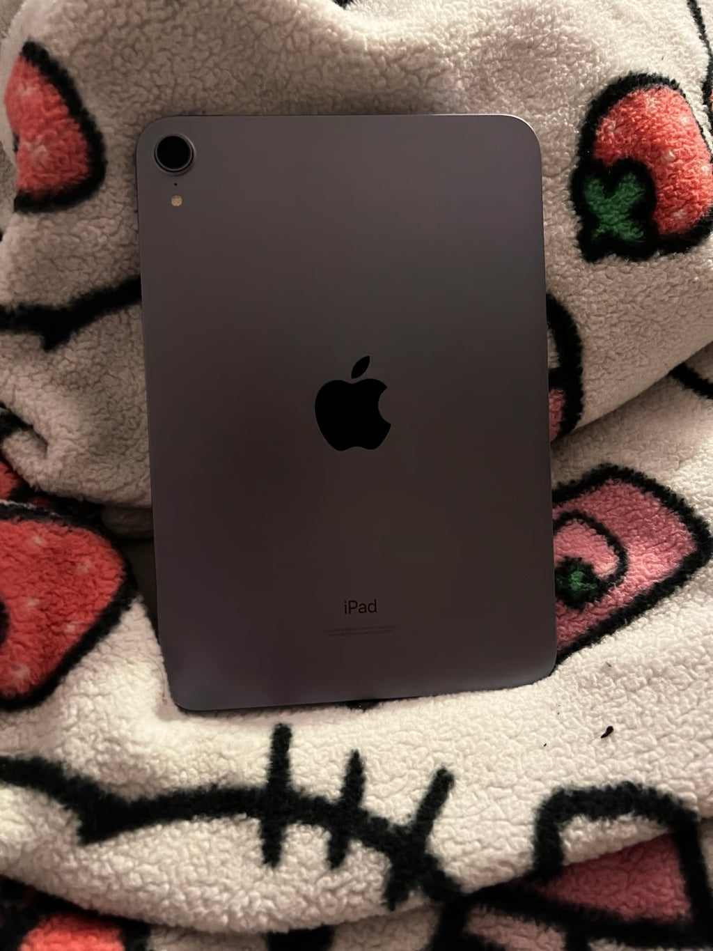 iPad mini 6 6M83