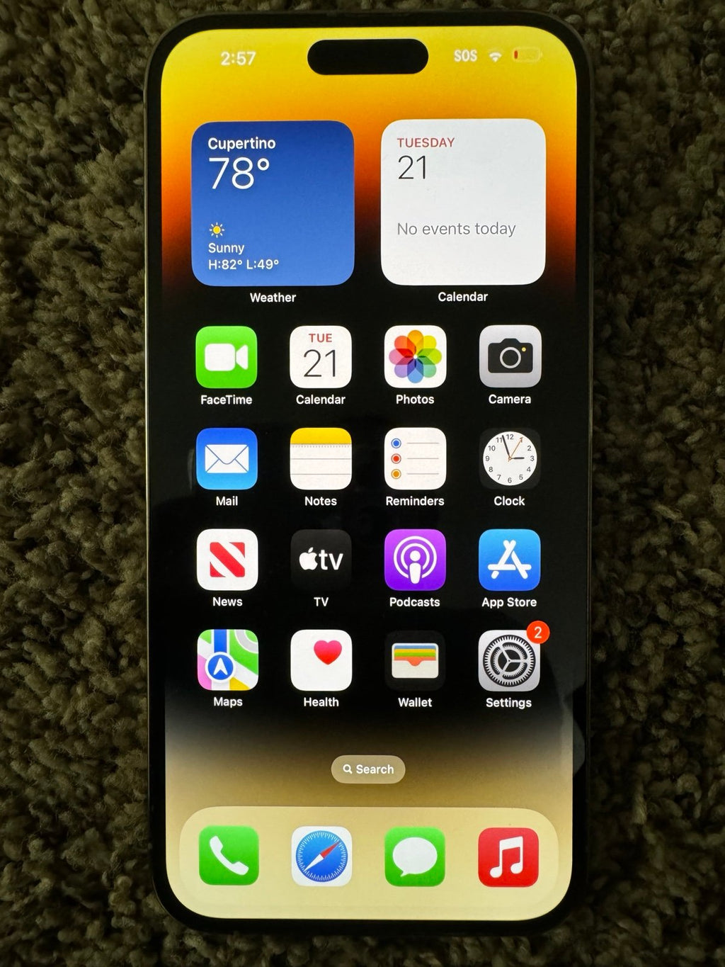 iPhone 14 Pro Max 1Z55