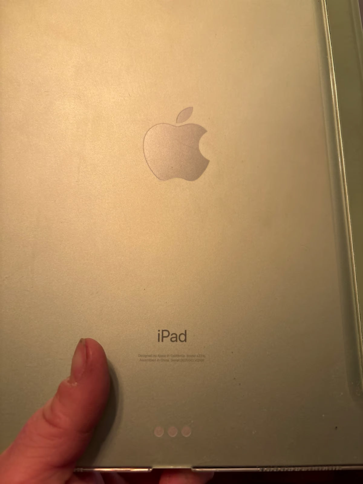 iPad Air Wi-Fi 64GB - Green (4th Generation) with case UNLOCKED 8L22