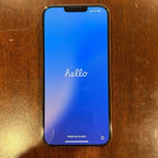 Apple iPhone 13 Pro Max - Gold 256GB Unlocked 3E23