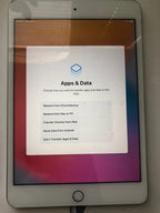 Ipad mini 4 64G 1V98