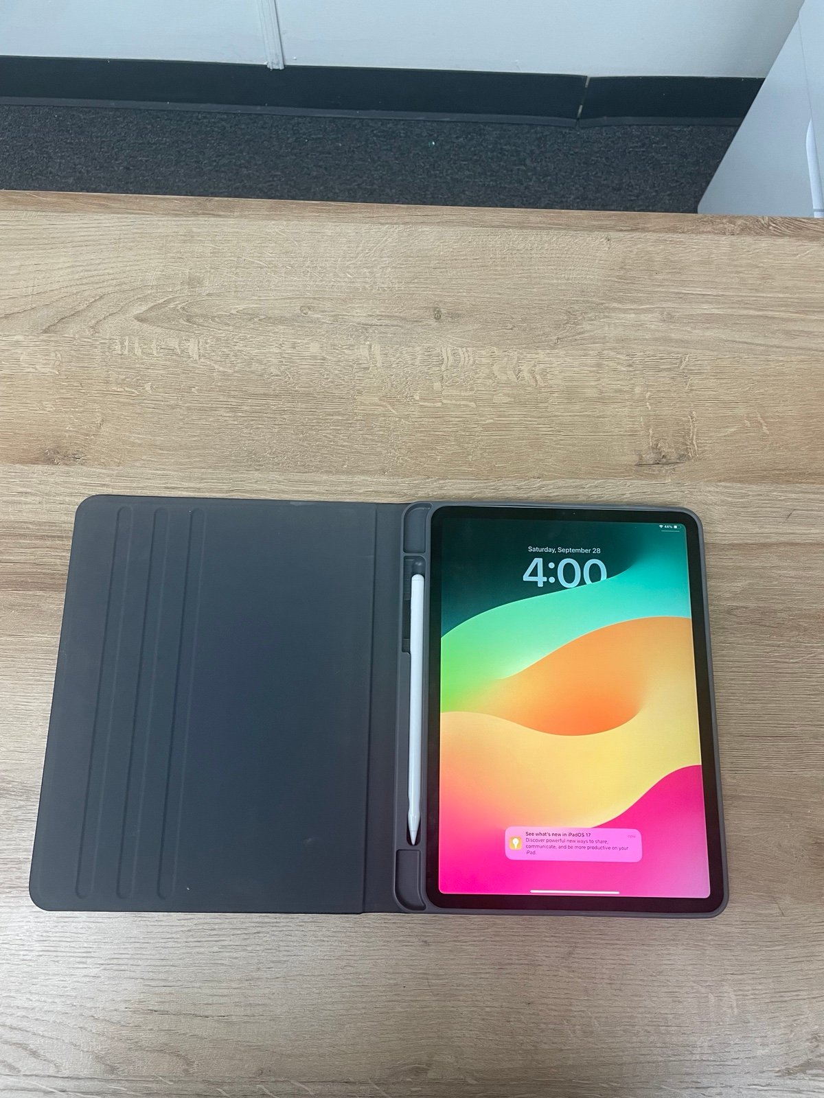 iPad Pro 4th gen 256 gb WiFi + cellular (unlocked) 11 inch 9T58