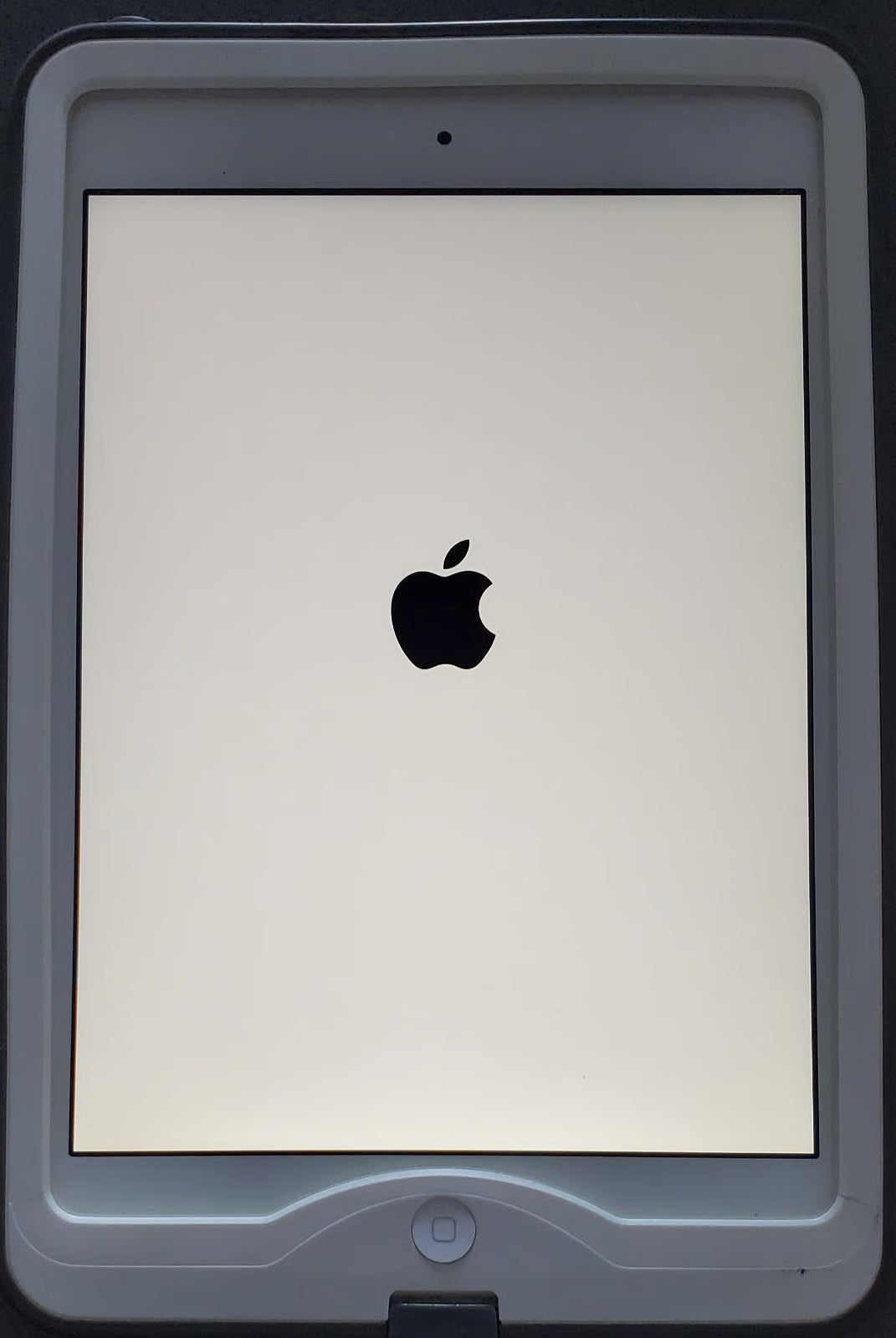 Apple iPad Mini + More (100% GIFT-READY) 7B72