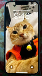 Apple iPhone 14 128 GB in Starlight Unlocked 5R21