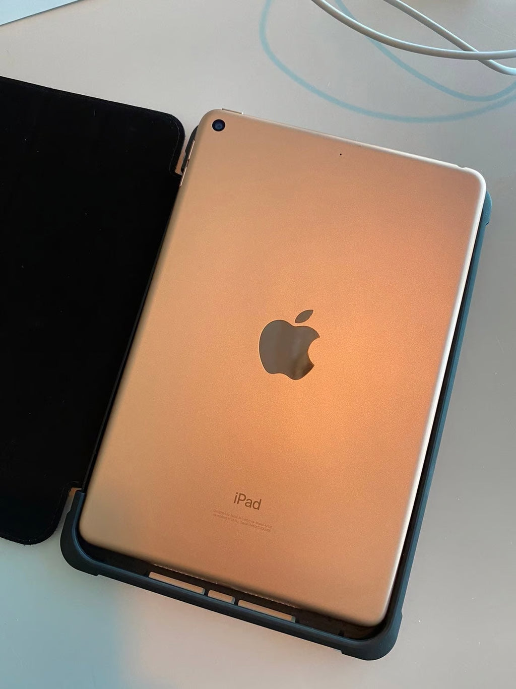 Apple iPad Mini 5th Generation 2S21