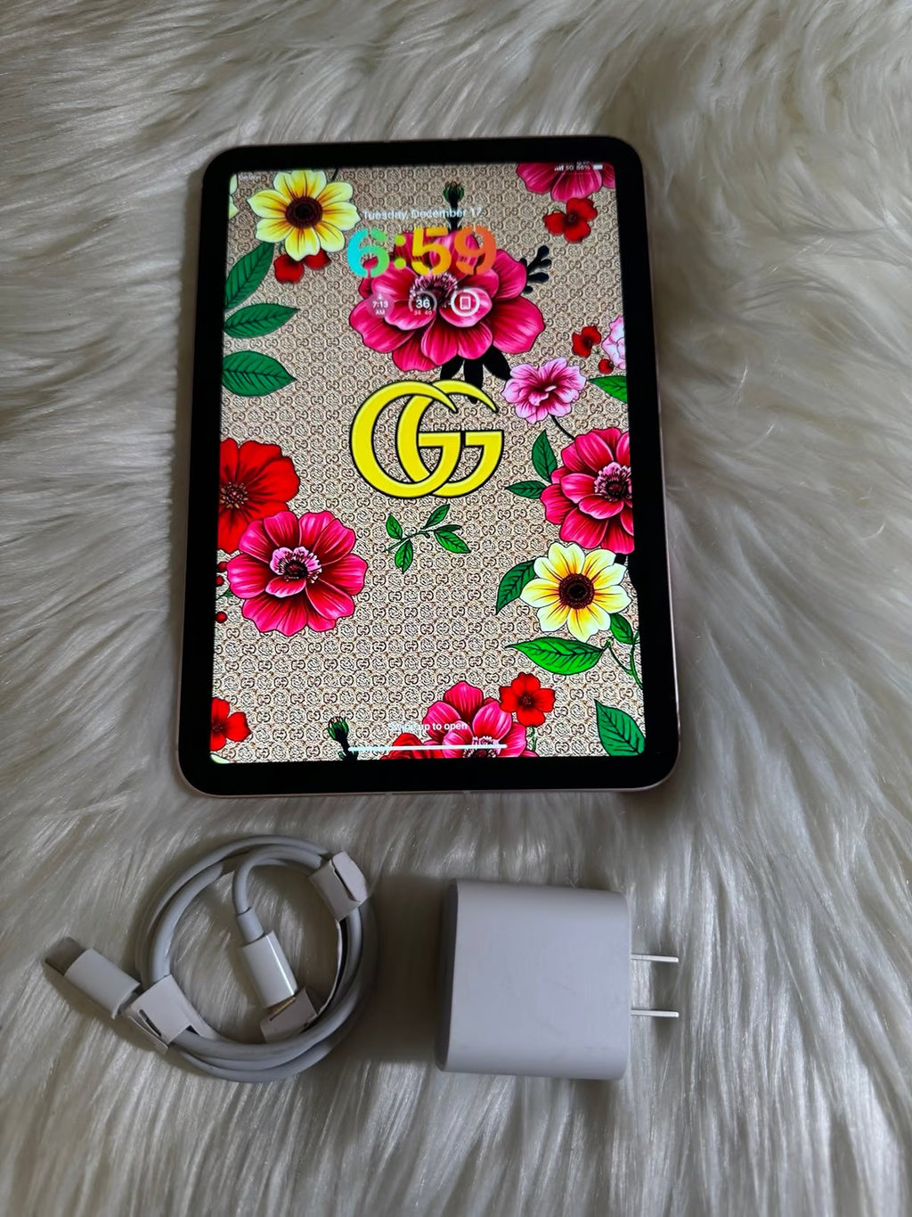 iPad Mini 6th Generation WiFi + Cellular Unlocked - Active eSim Internet Free 6U92