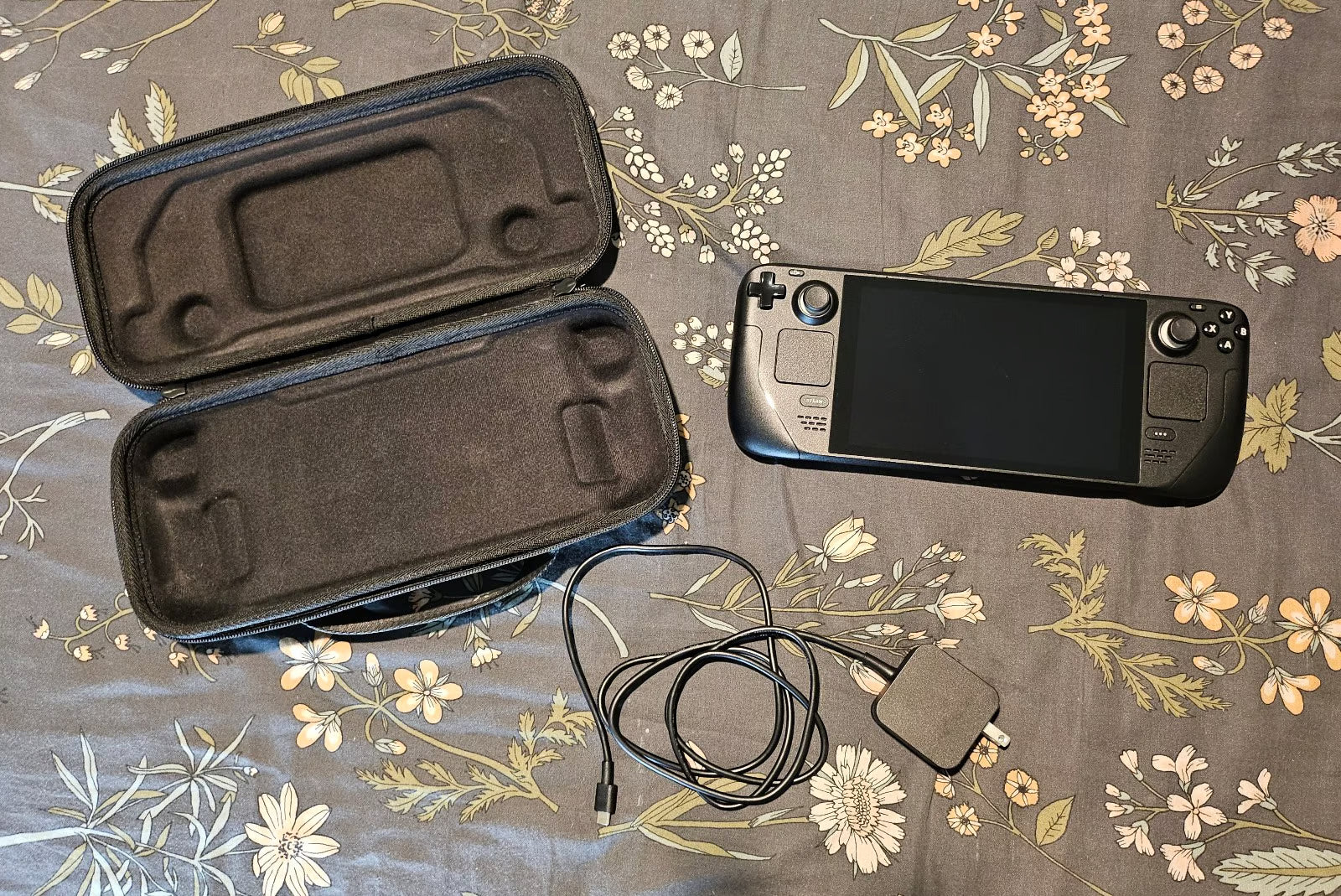 steam deck 256gb 6D16