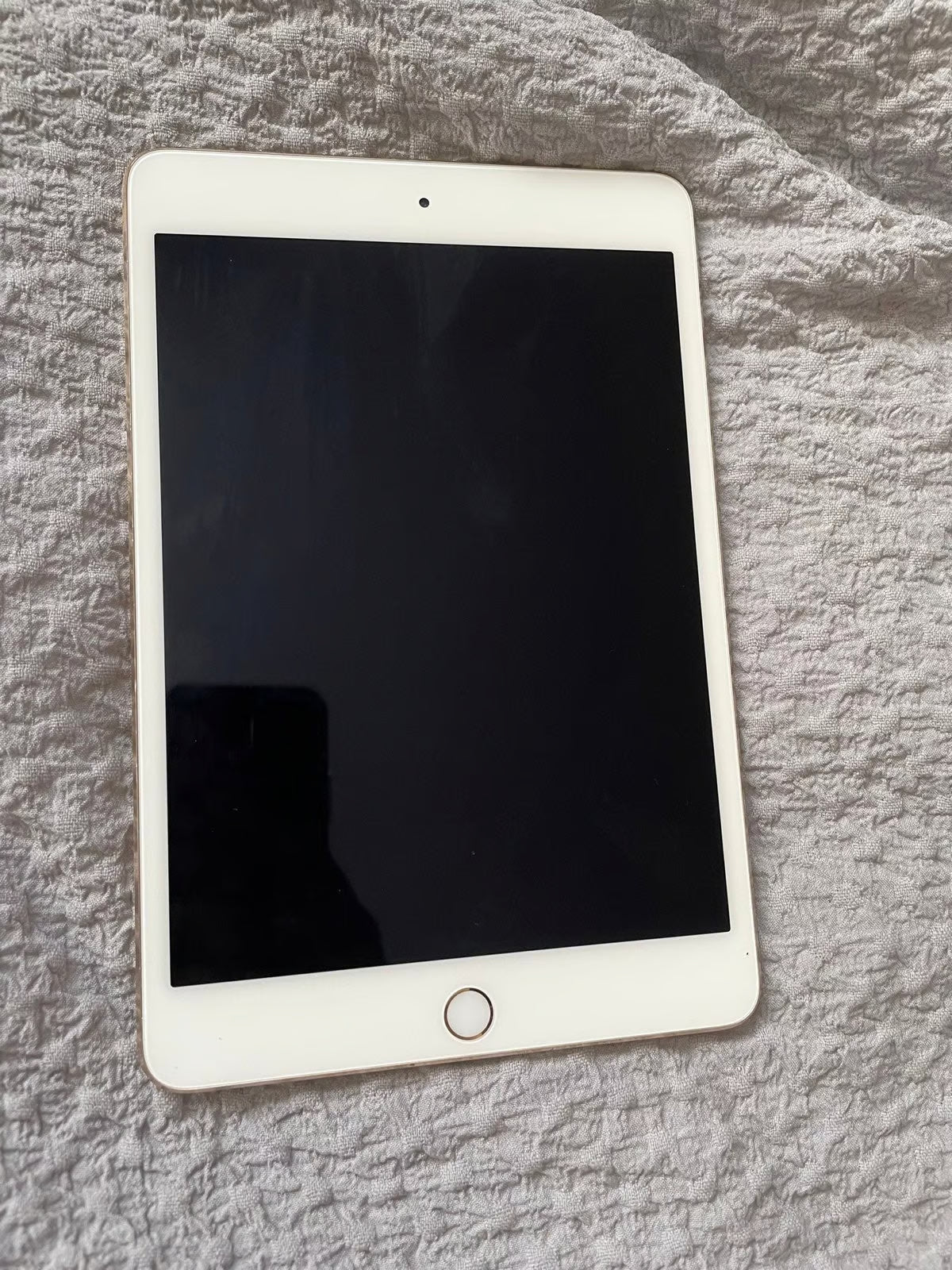 Ipad mini generation 4 3W87