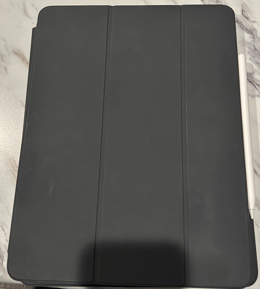 iPad Pro 12.9 inch (4th generation) WiFi 256 GB 1L65