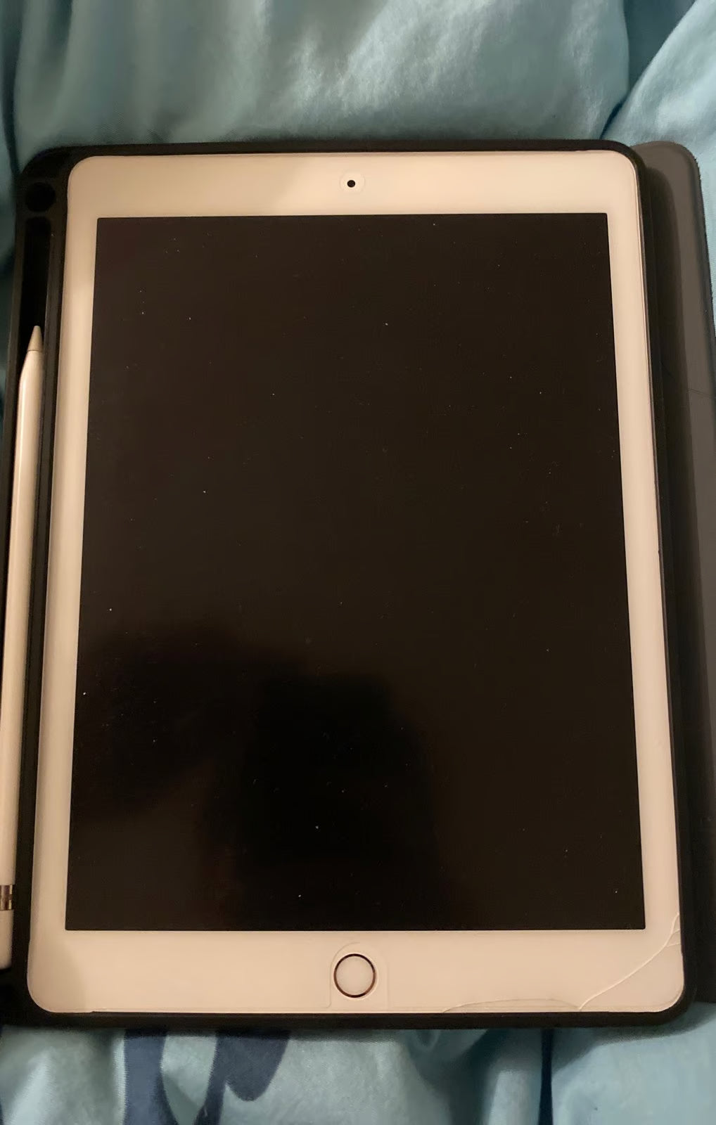 iPad Mini 1C51