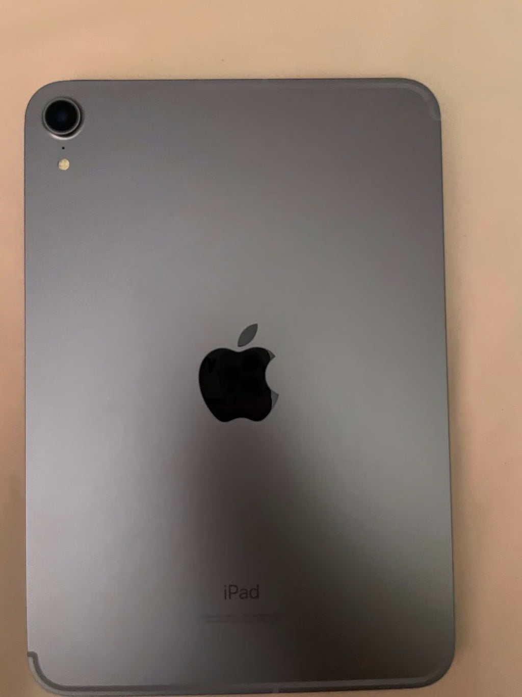 Apple iPad Mini 6th Generation 256 GB in Purple 5Q89