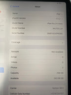 Apple iPad Pro 11"" 1st Gen A2013 256GB WiFi + Cell Tablet Space Gray-Excellent 5L11