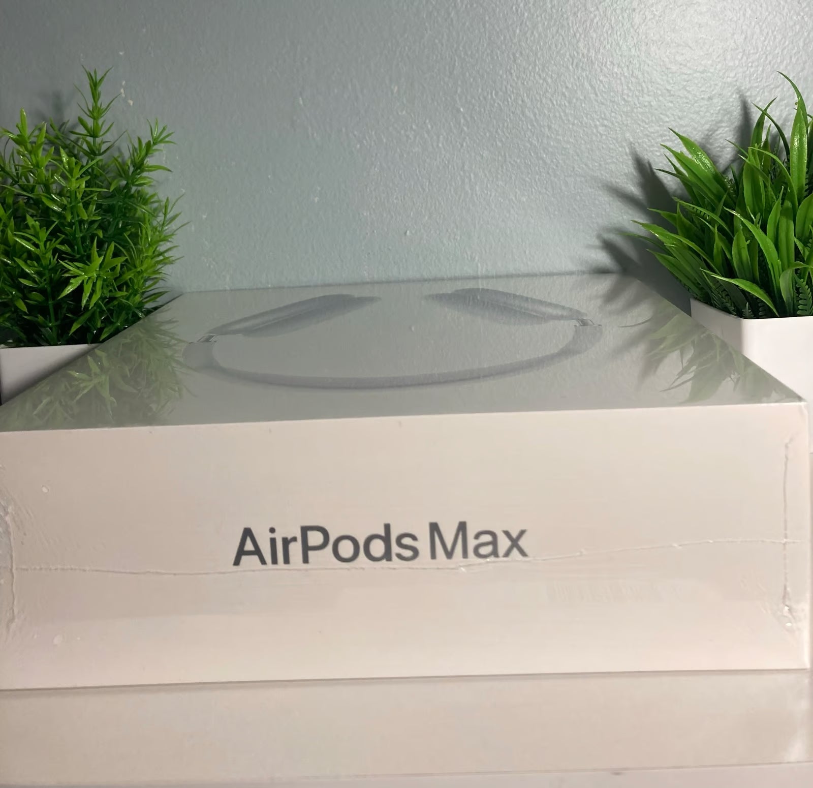 Apple AirPods Max with Smart Case in Silver 5X37