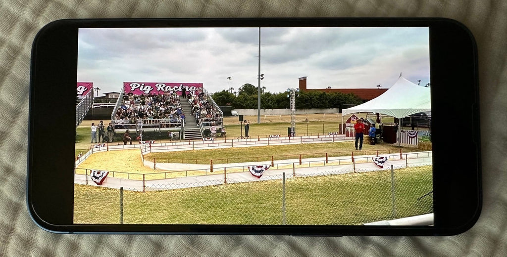 Apple iPhone 13 128 GB in Blue for Unlocked 5H27